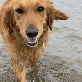 Entry image for Sook