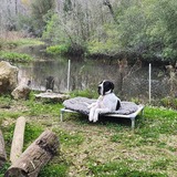 Entry image for Jonas