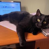 Entry image for Jack (aka Blackjack Finn Ross, Prince of CAS)