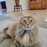 Entry image for Kasey "PatMah" Davis