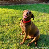 Entry image for Coco Elsey