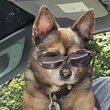 Entry image for Hercules