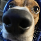 Entry image for Trigger