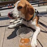 Entry image for Steve