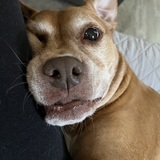 Entry image for Moley