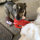 Entry image for Sila