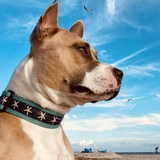 Entry image for Mr. Banks