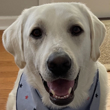 Entry image for Croix