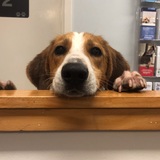 Entry image for Jethro