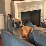 Entry image for Doug