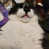 Entry image for Slayer