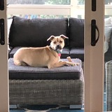 Entry image for Zoey