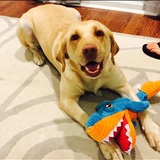 Entry image for Lucy 