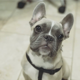 Entry image for Jaxson 