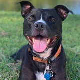 Entry image for Loki