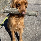 Entry image for Tahoe