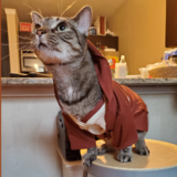 Entry image for Obi Wan Kenobi