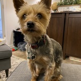 Entry image for Justice 