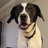 Entry image for Kaila