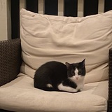 Entry image for Skinny Pete