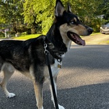 Entry image for Tito