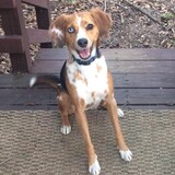 Entry image for Janie