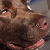 Entry image for Tommy