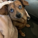 Entry image for Cooper