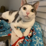 Entry image for Freddie