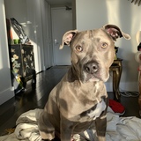 Entry image for Rockwell