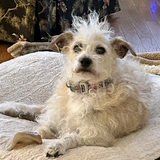 Entry image for Sammie