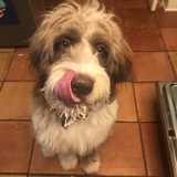 Entry image for Rosie