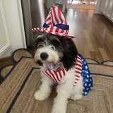 Entry image for Rosemary