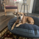 Entry image for Butter