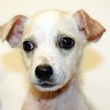 Entry image for Donnie DaNoochie Oliver aka The Dude