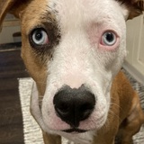 Entry image for Sunshine