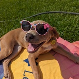 Entry image for Penny