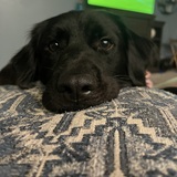 Entry image for Tobin