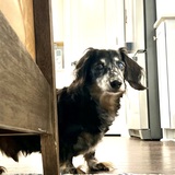 Entry image for Baxter 