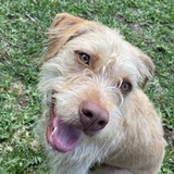 Entry image for Lucy