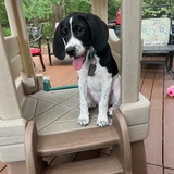 Entry image for Otis