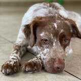 Entry image for Fifty