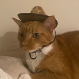 Entry image for Noah