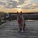 Entry image for Hugo