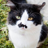 Entry image for Alex