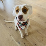 Entry image for Skye