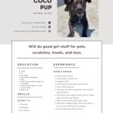 Entry image for Coco Pup 