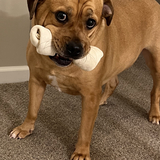 Entry image for Cooper