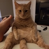 Entry image for Colonel Mustard