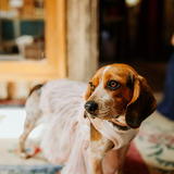 Entry image for Freckles